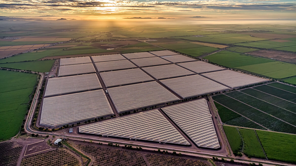 Preparación del campo